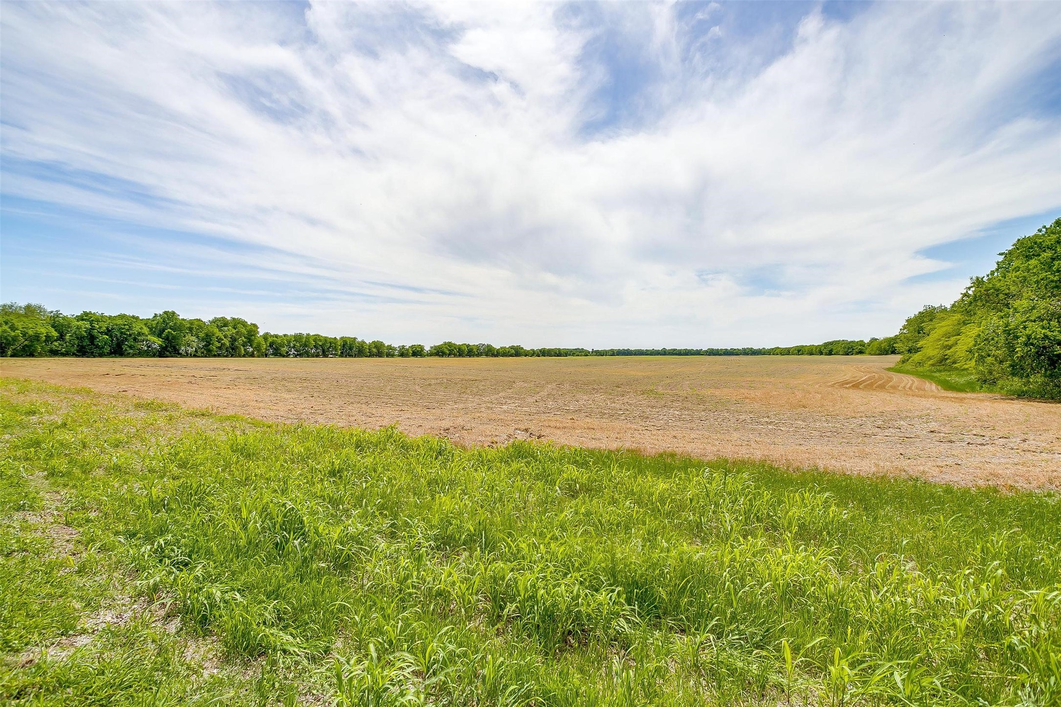 7811 County Road 1208, Rio Vista, TX, 76093 | 20308994 | Realty Texas LLC