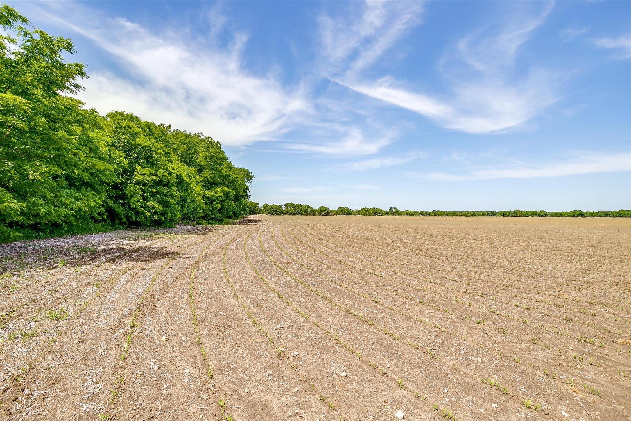 7811 County Road 1208, Rio Vista, TX, 76093 | 20308994 | Realty Texas LLC