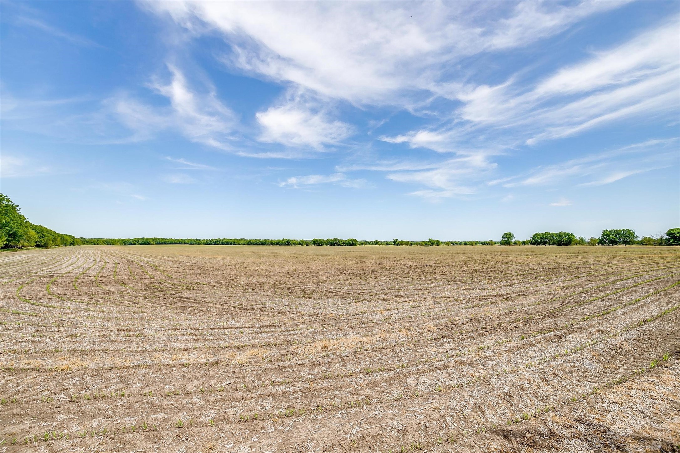 7811 County Road 1208, Rio Vista, TX, 76093 | 20308994 | Realty Texas LLC
