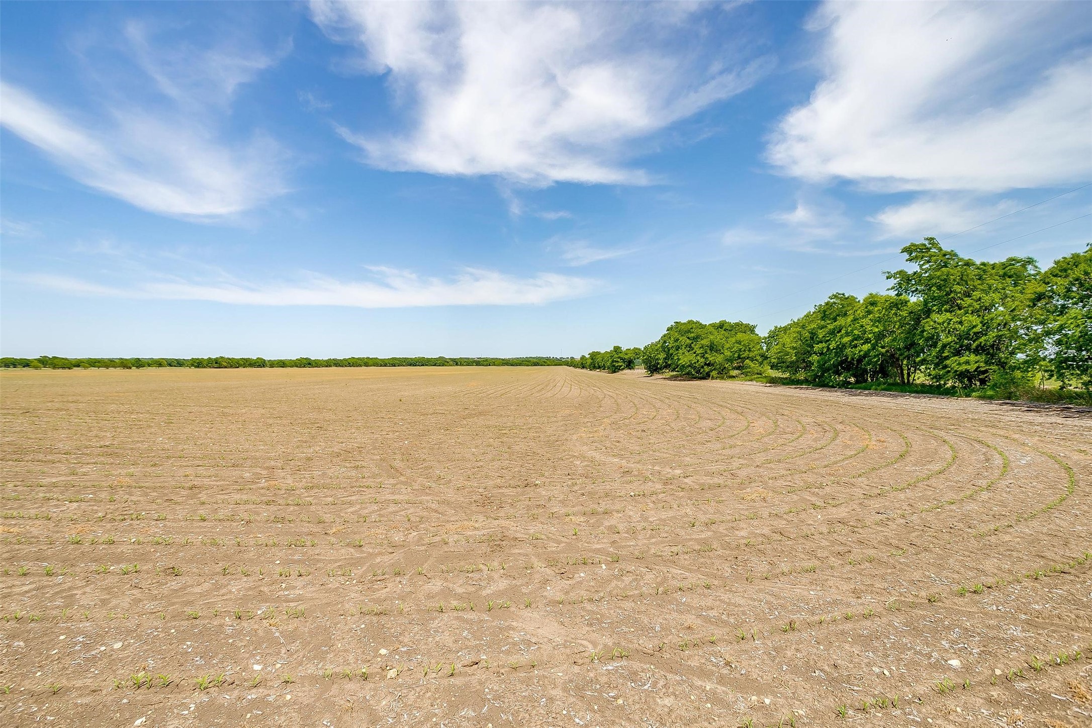 7811 County Road 1208, Rio Vista, TX, 76093 | 20308994 | Realty Texas LLC