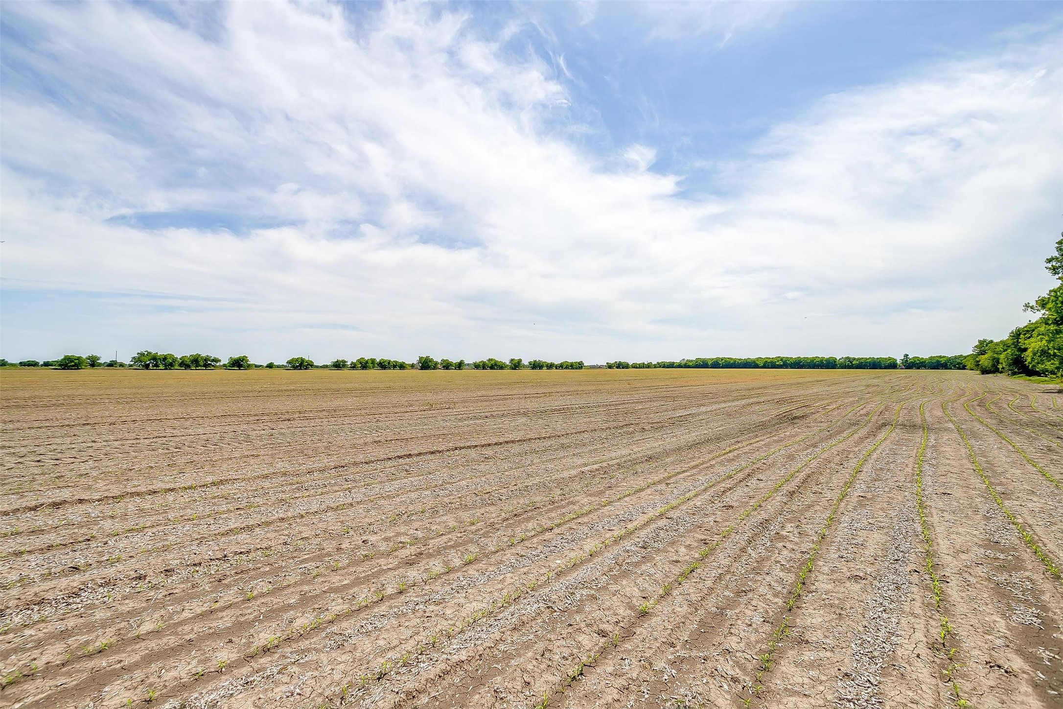7811 County Road 1208, Rio Vista, TX, 76093 | 20308994 | Realty Texas LLC