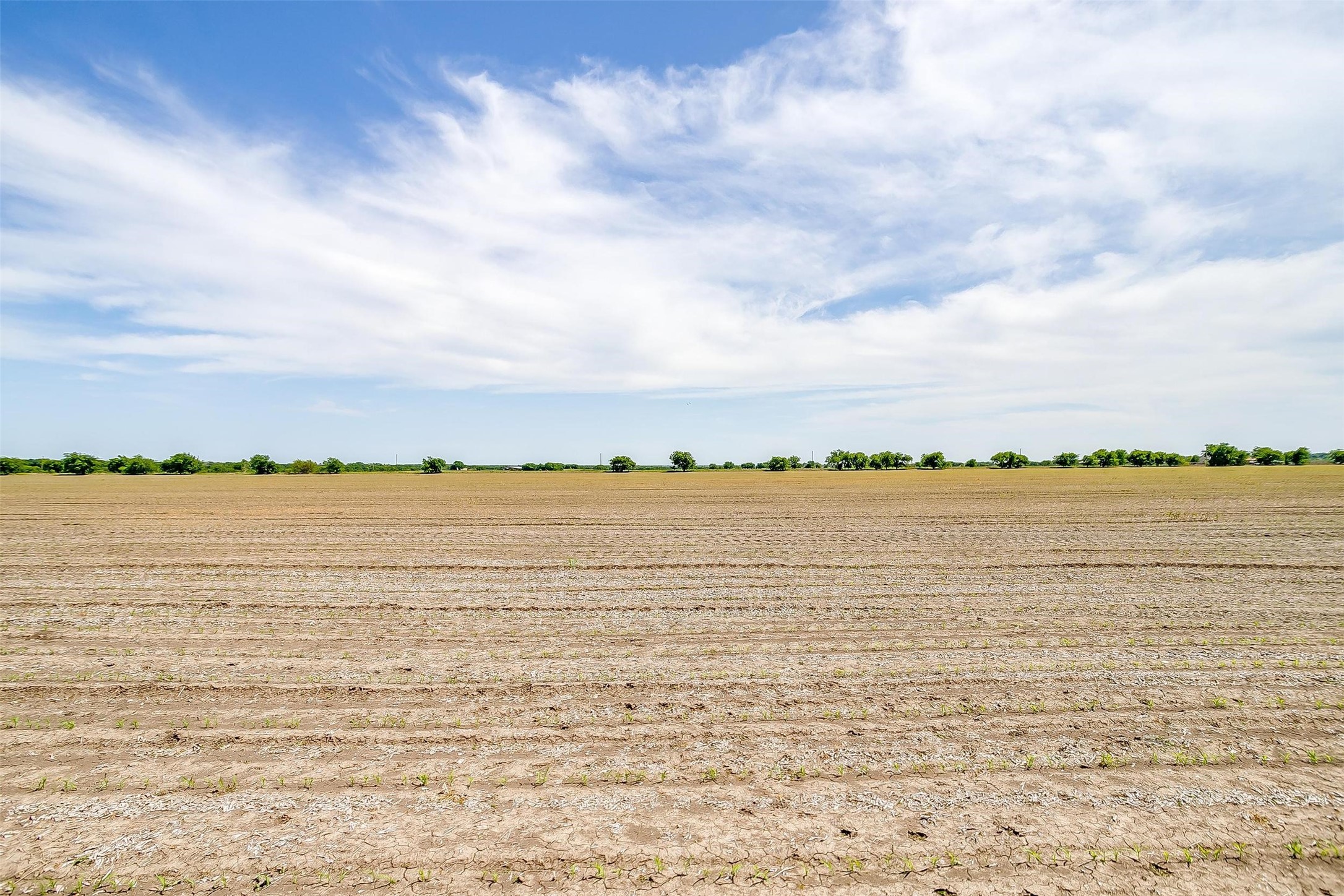 7811 County Road 1208, Rio Vista, TX, 76093 | 20308994 | Realty Texas LLC