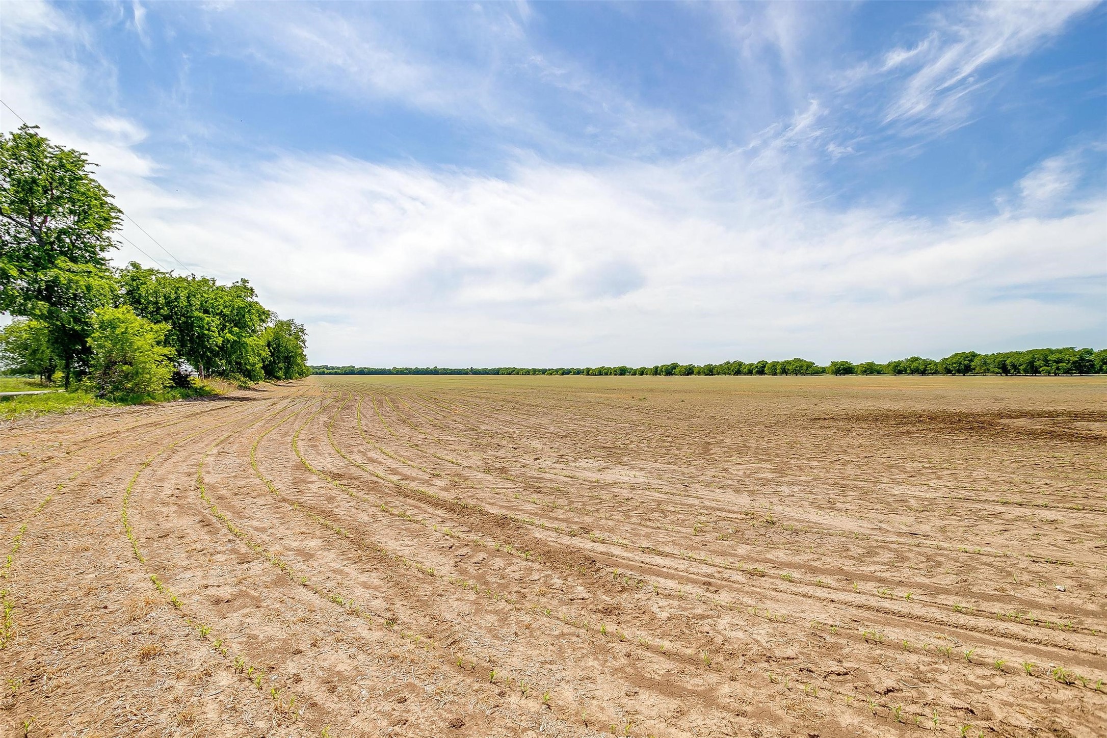 7811 County Road 1208, Rio Vista, TX, 76093 | 20308994 | Realty Texas LLC