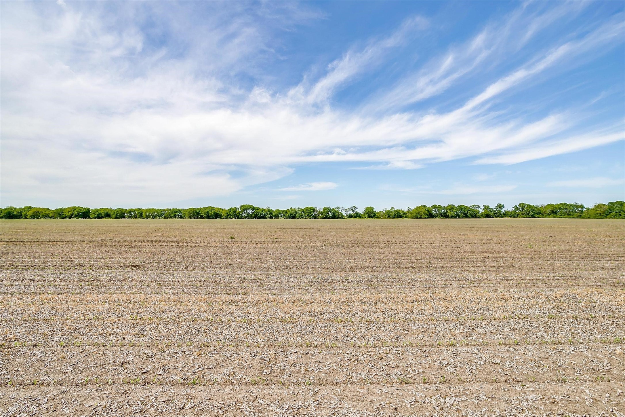 7811 County Road 1208, Rio Vista, TX, 76093 | 20308994 | Realty Texas LLC