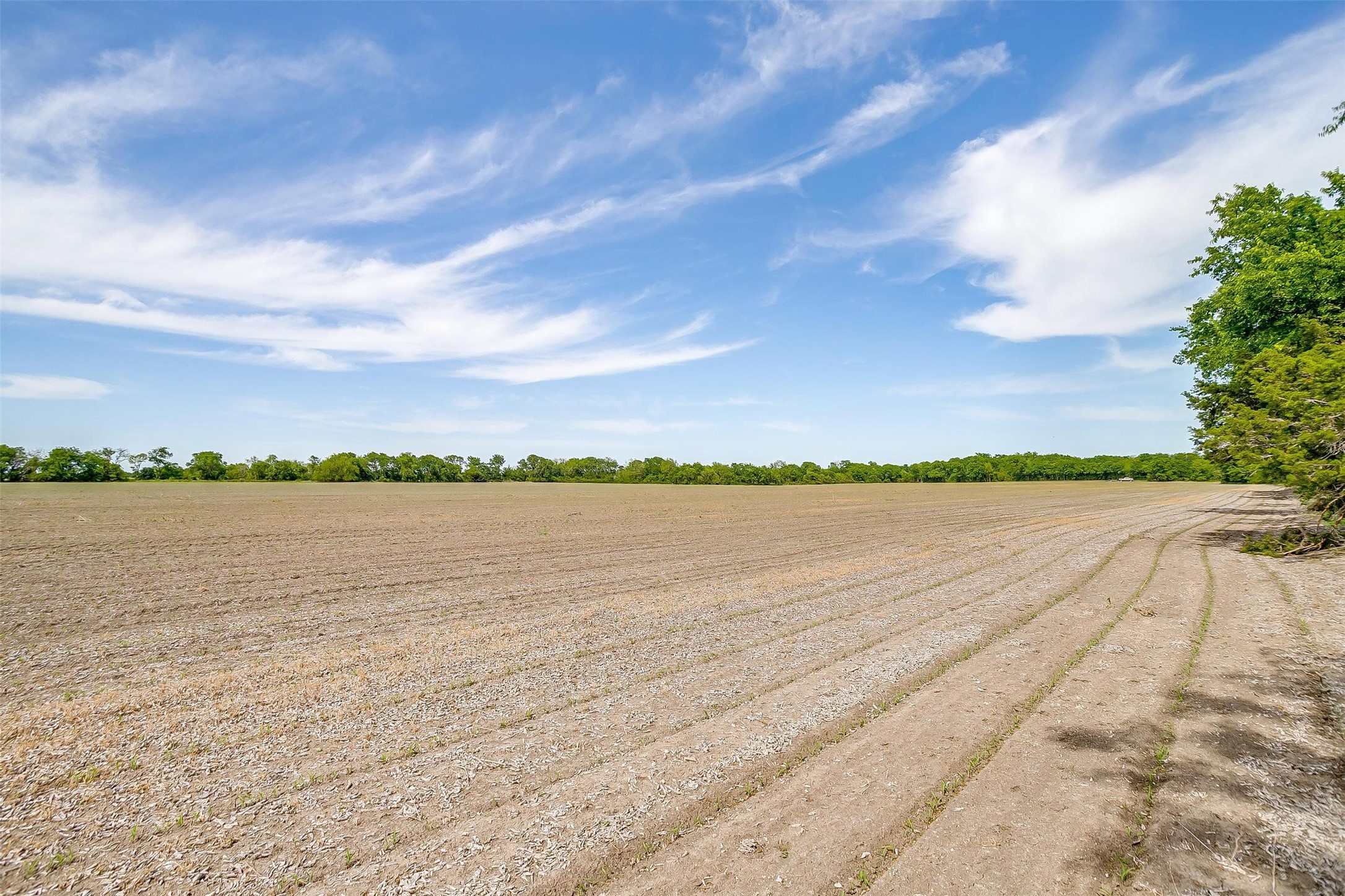 7811 County Road 1208, Rio Vista, TX, 76093 | 20308994 | Realty Texas LLC