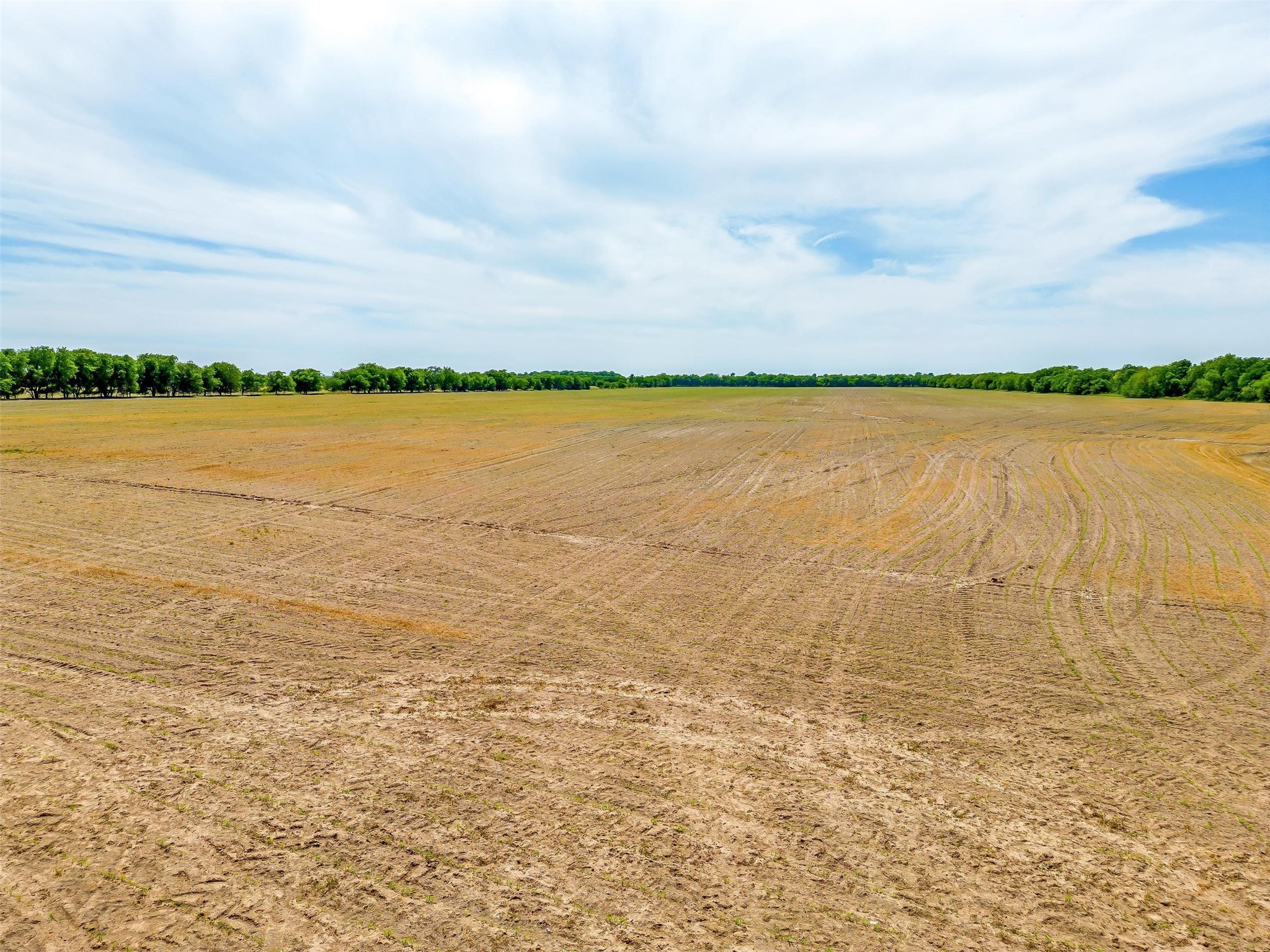 7811 County Road 1208, Rio Vista, TX, 76093 | 20308994 | Realty Texas LLC