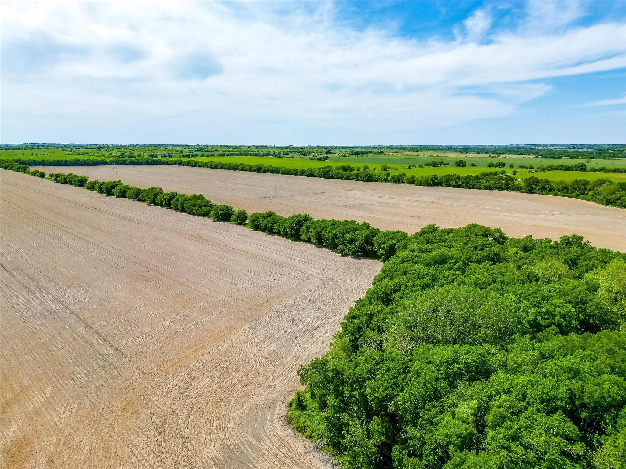 7811 County Road 1208, Rio Vista, TX, 76093 | 20308994 | Realty Texas LLC