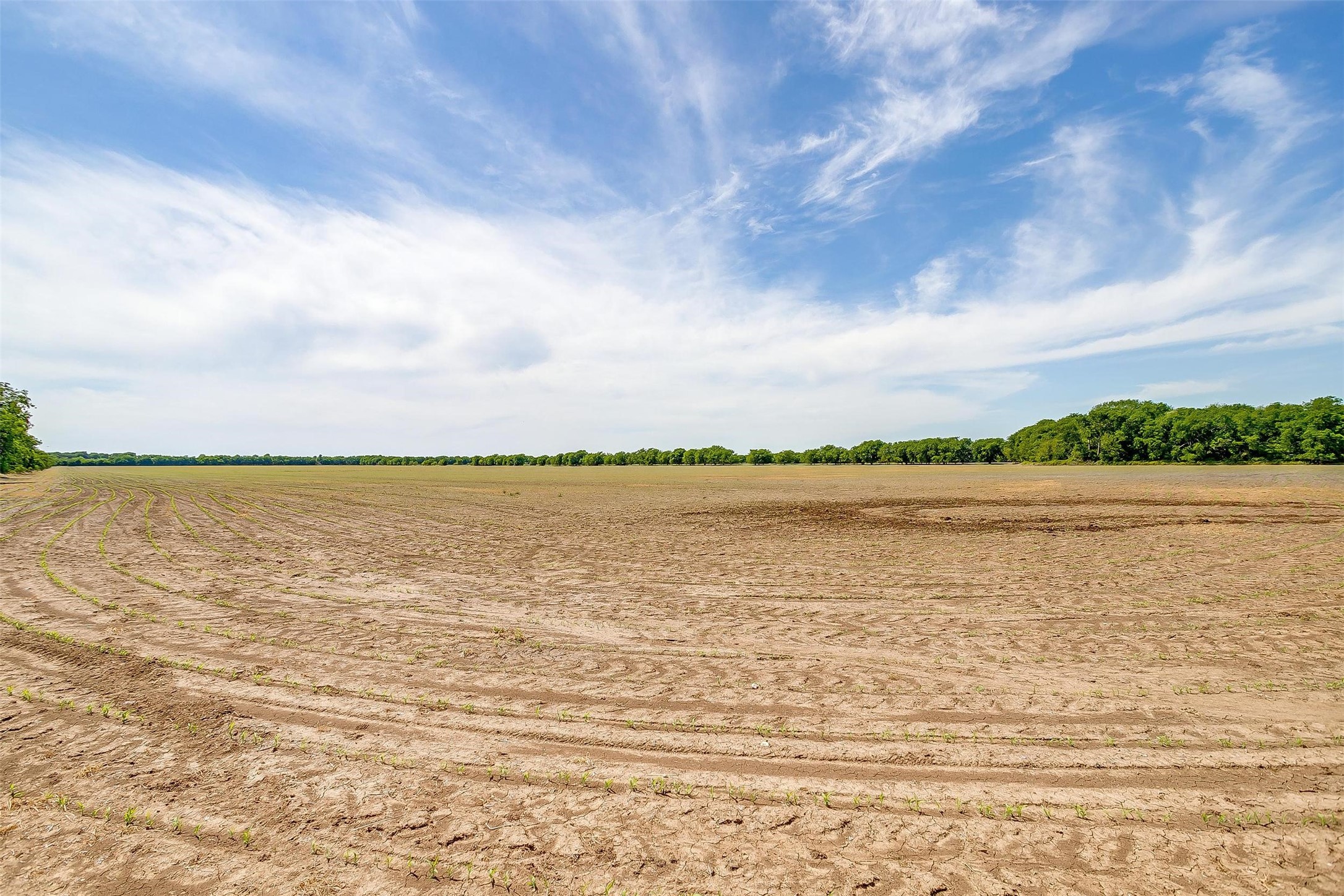 7811 County Road 1208, Rio Vista, TX, 76093 | 20308994 | Realty Texas LLC