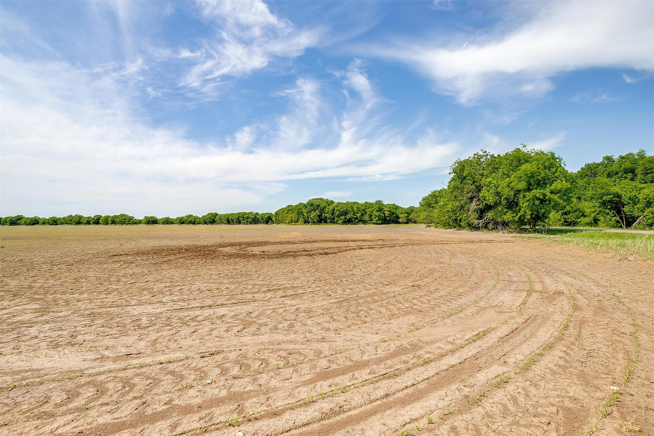 7811 County Road 1208, Rio Vista, TX, 76093 | 20308994 | Realty Texas LLC