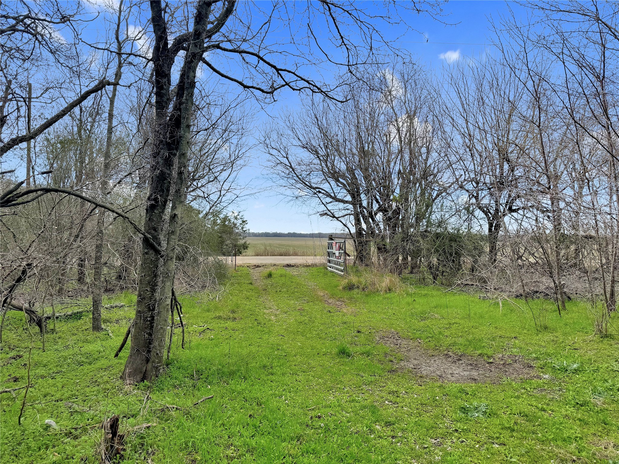 7811 County Road 1208, Rio Vista, TX, 76093 | 20308994 | Realty Texas LLC