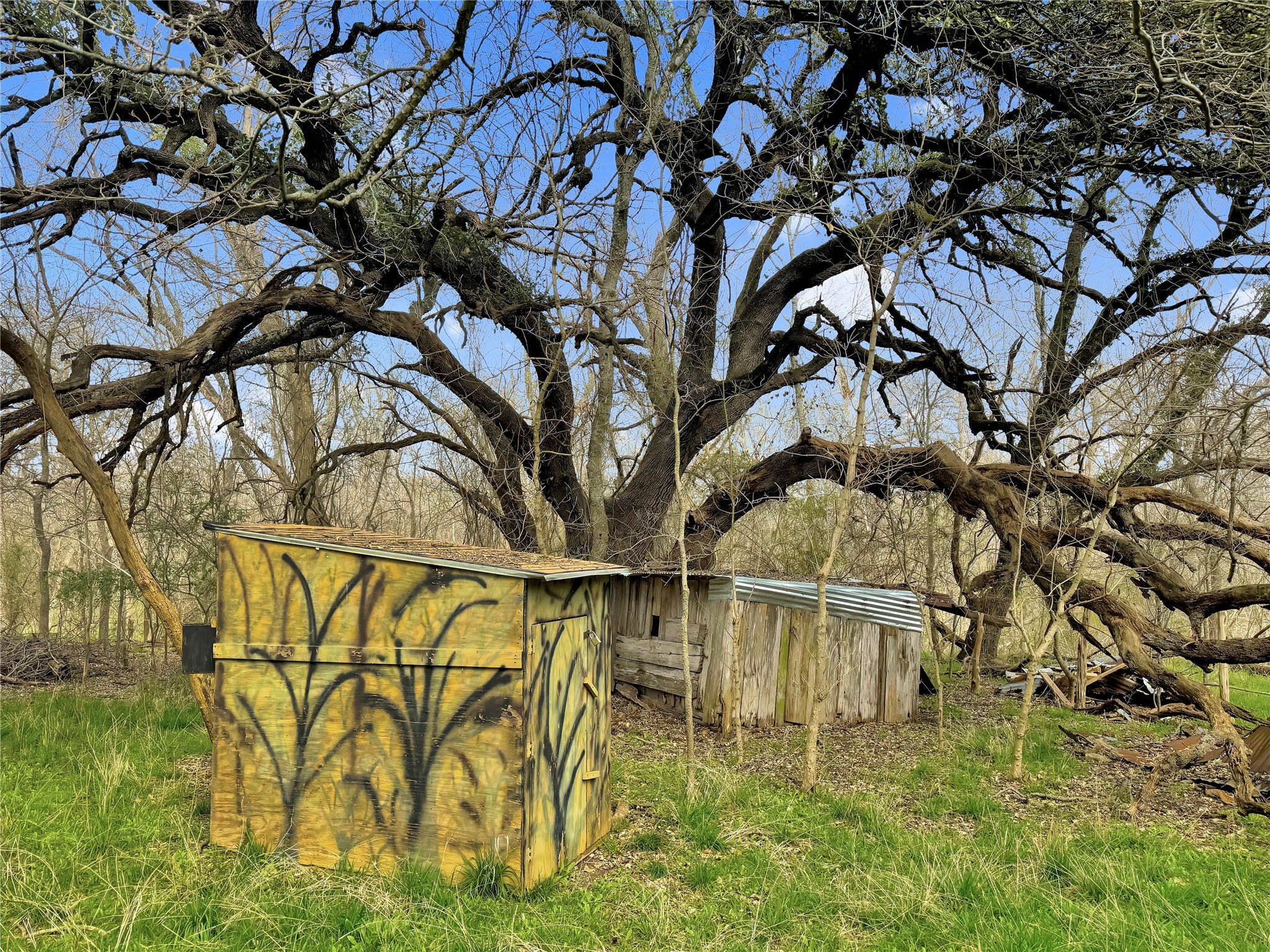 7811 County Road 1208, Rio Vista, TX, 76093 | 20308994 | Realty Texas LLC
