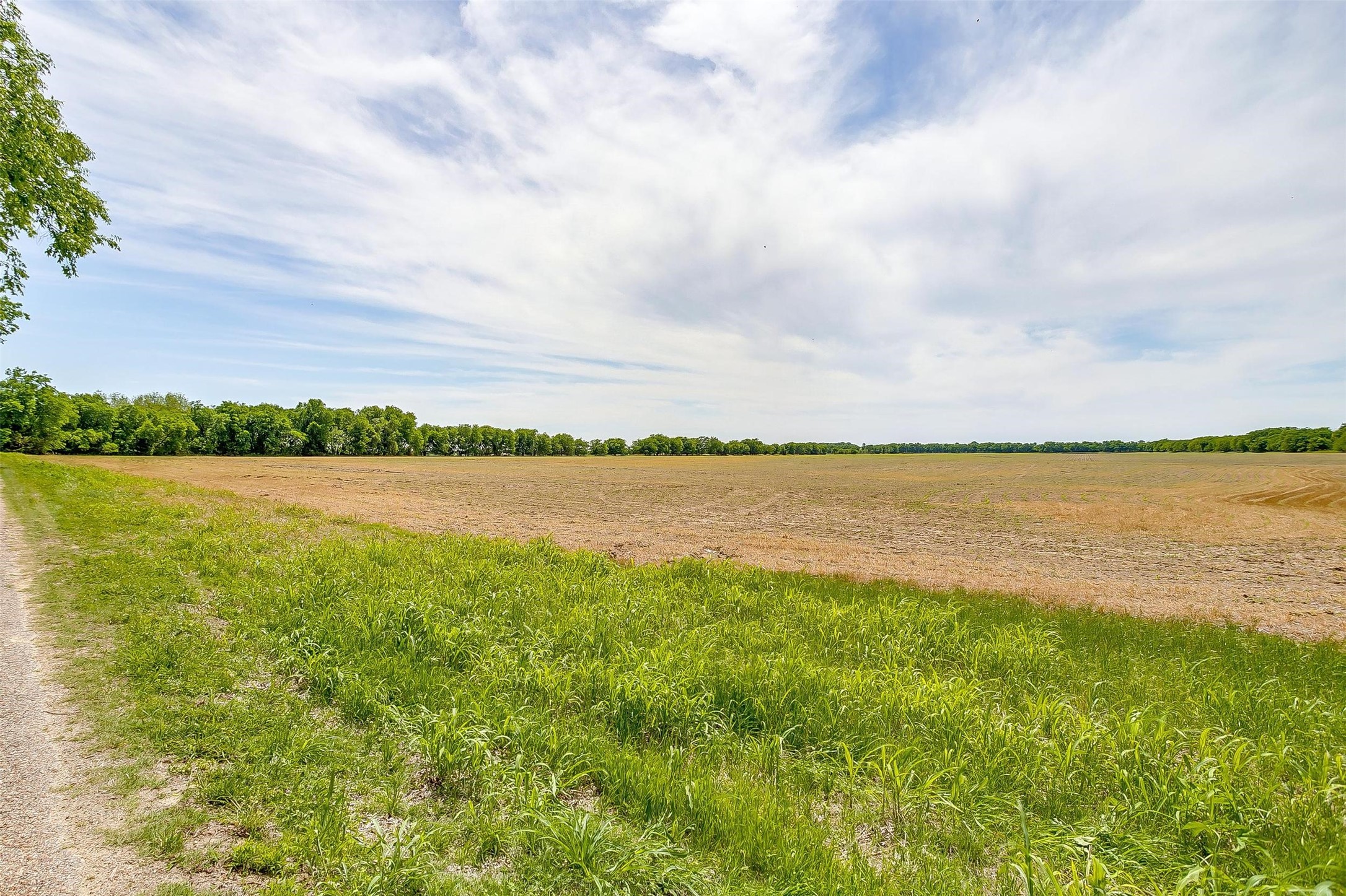 7811 County Road 1208, Rio Vista, TX, 76093 | 20308994 | Realty Texas LLC