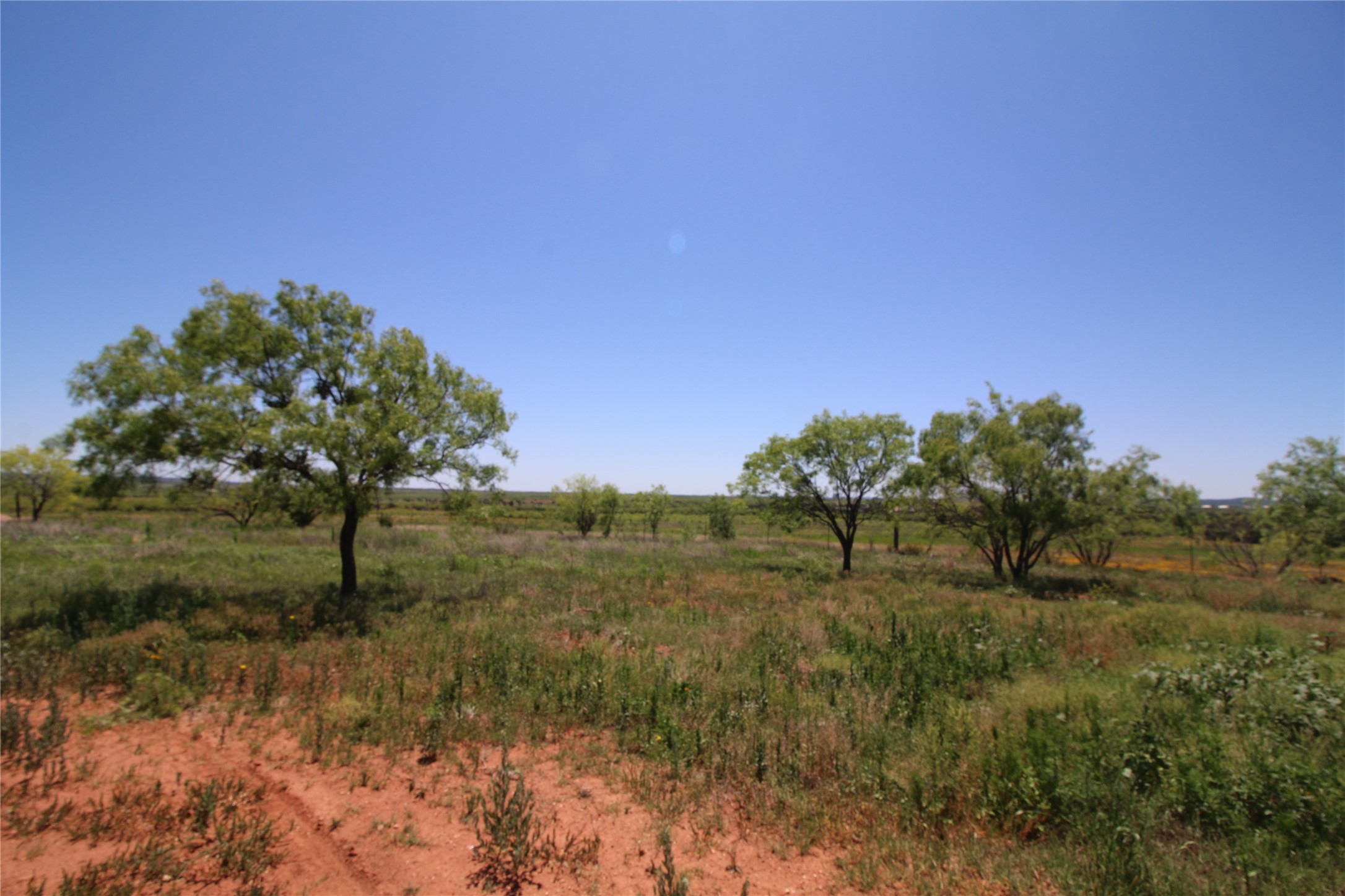 Lot 6 Marshal Trail , Tuscola, TX, 79562 | 20310594 | Realty Texas LLC