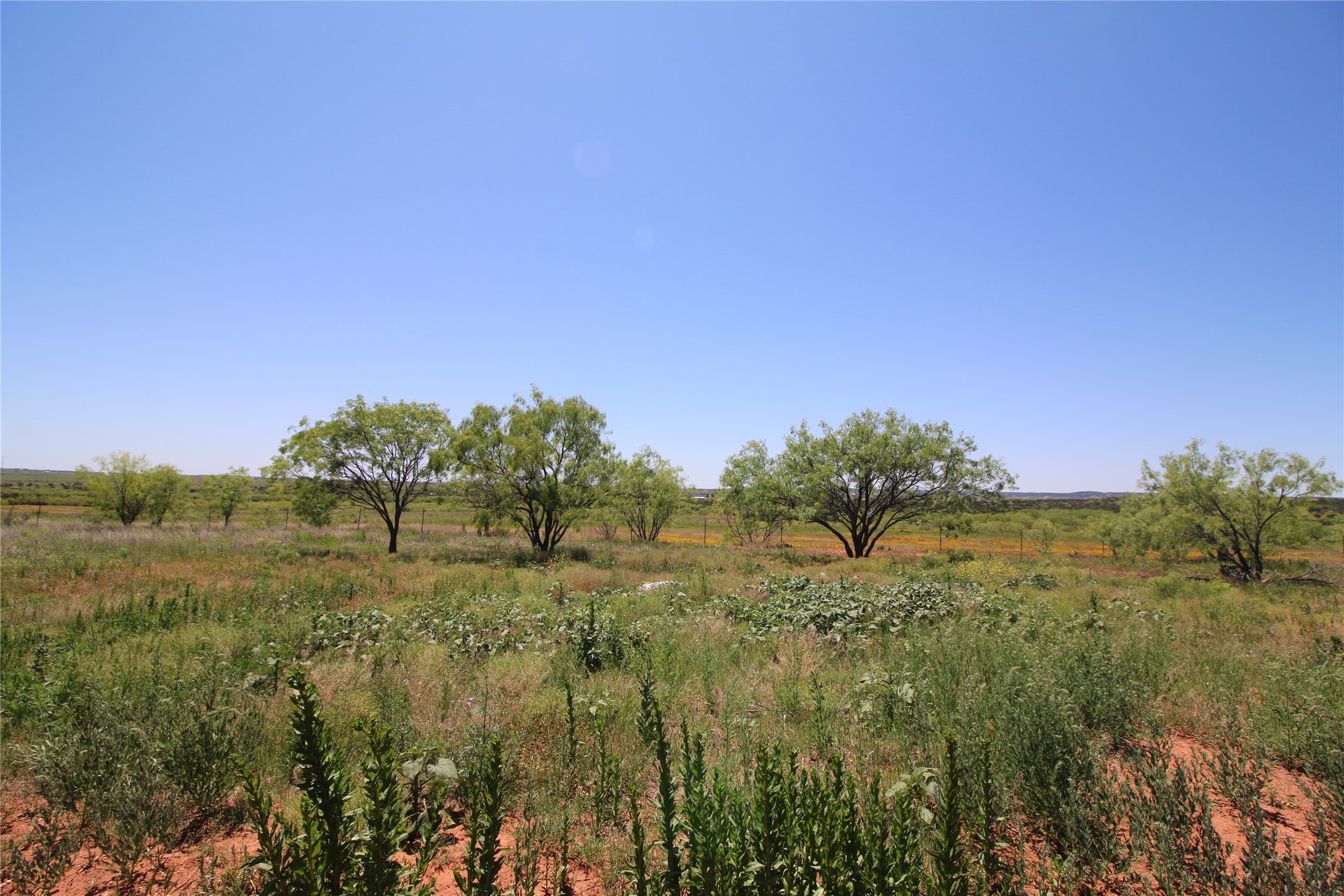 Lot 6 Marshal Trail , Tuscola, TX, 79562 | 20310594 | Realty Texas LLC