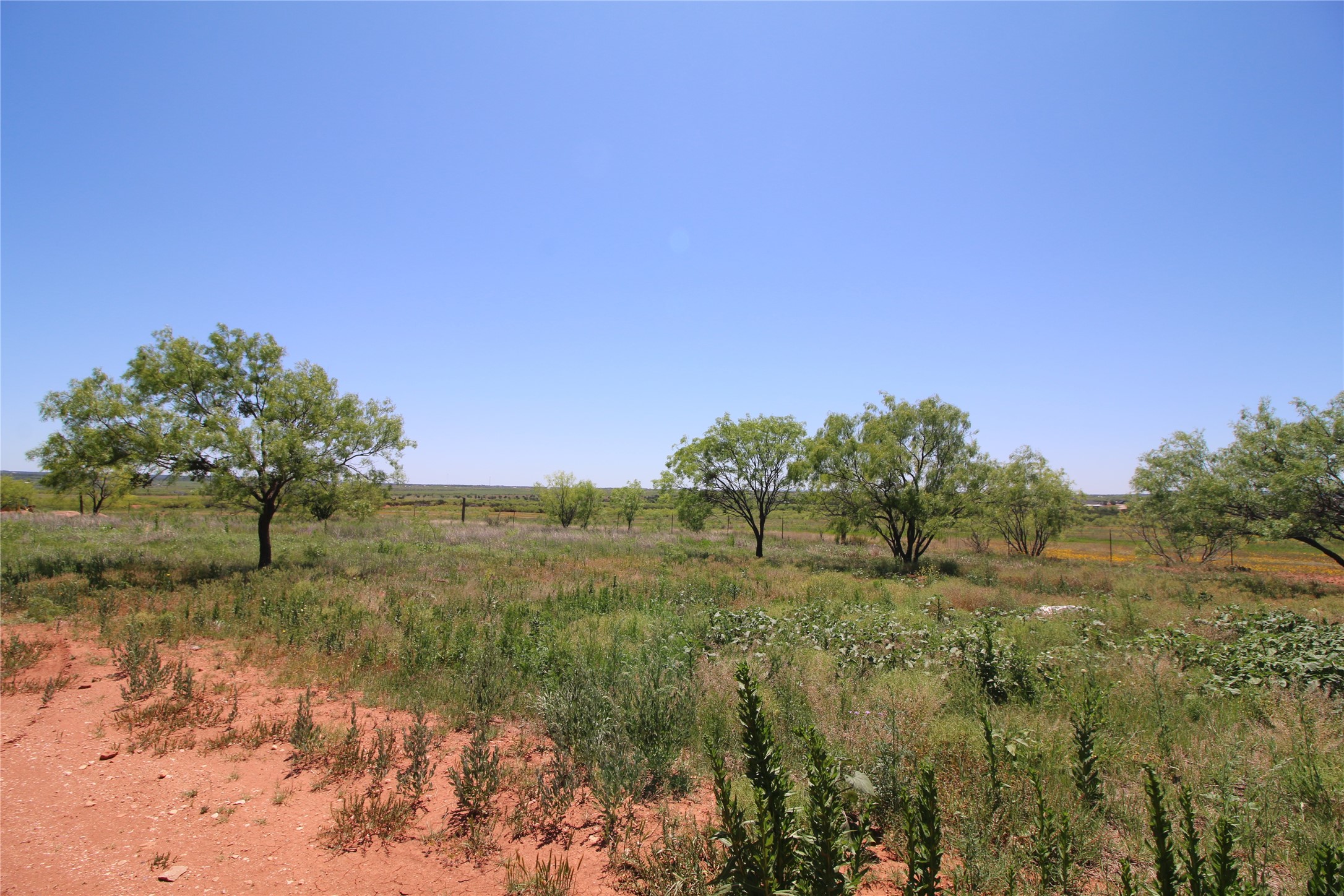 Lot 6 Marshal Trail , Tuscola, TX, 79562 | 20310594 | Realty Texas LLC