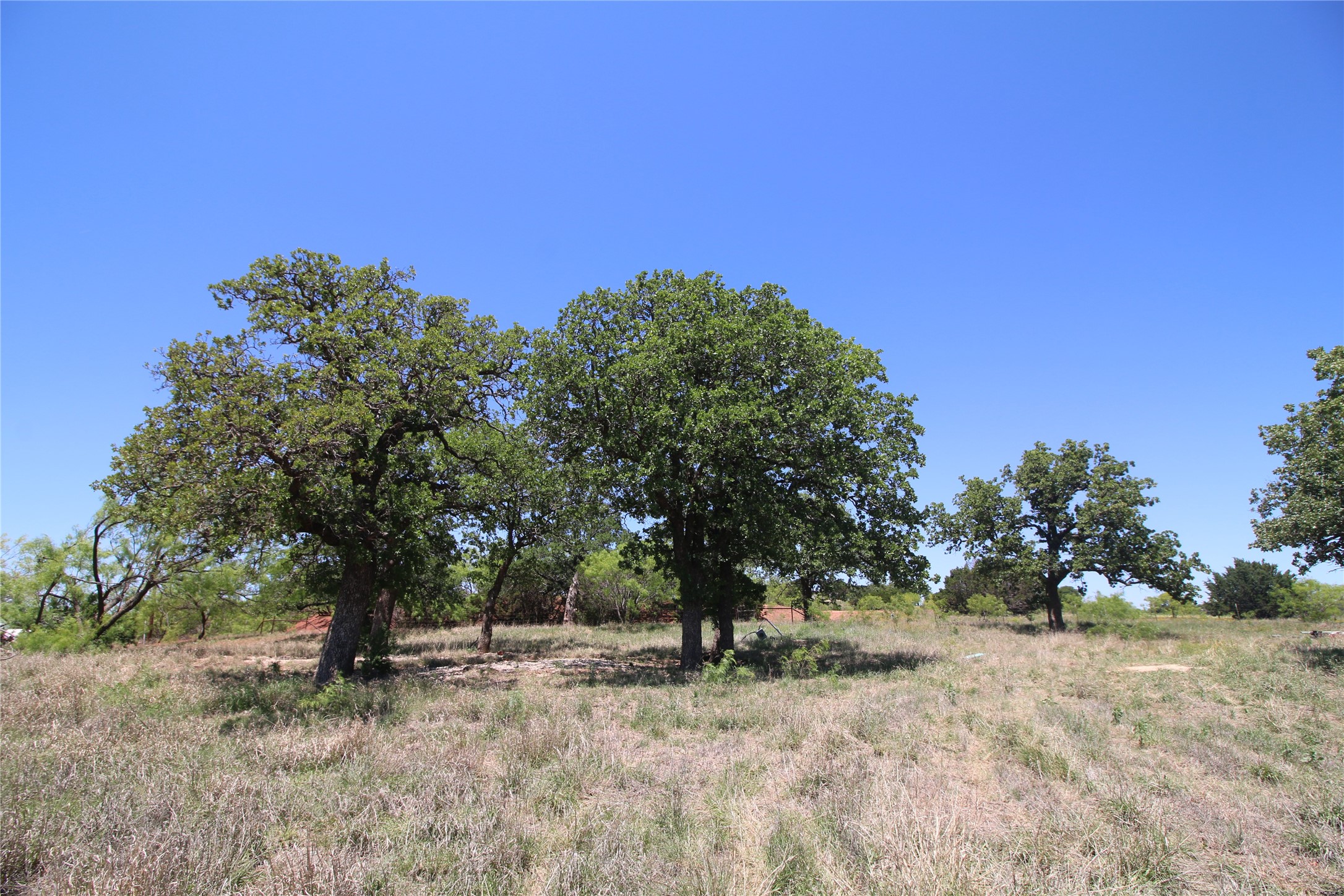 Lot 6 Marshal Trail , Tuscola, TX, 79562 | 20310594 | Realty Texas LLC