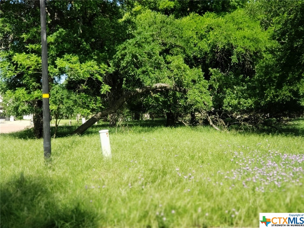 TBD Winners Circle Drive , Salado, TX, 76571 | 503150 | Realty Texas LLC