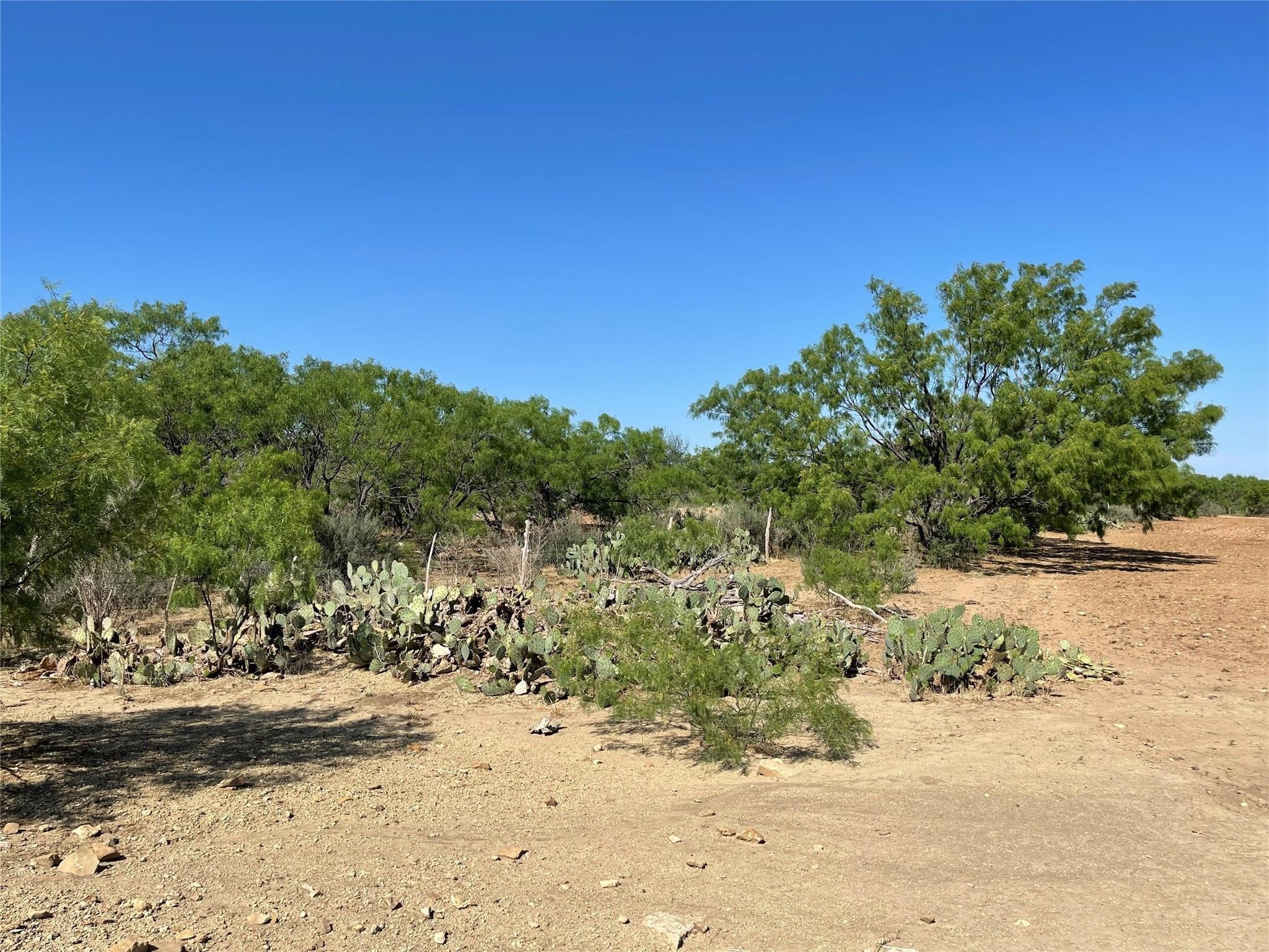 1047 County Road 346 218 , Gouldbusk, TX, 76845 | 20312427 | Realty Texas LLC