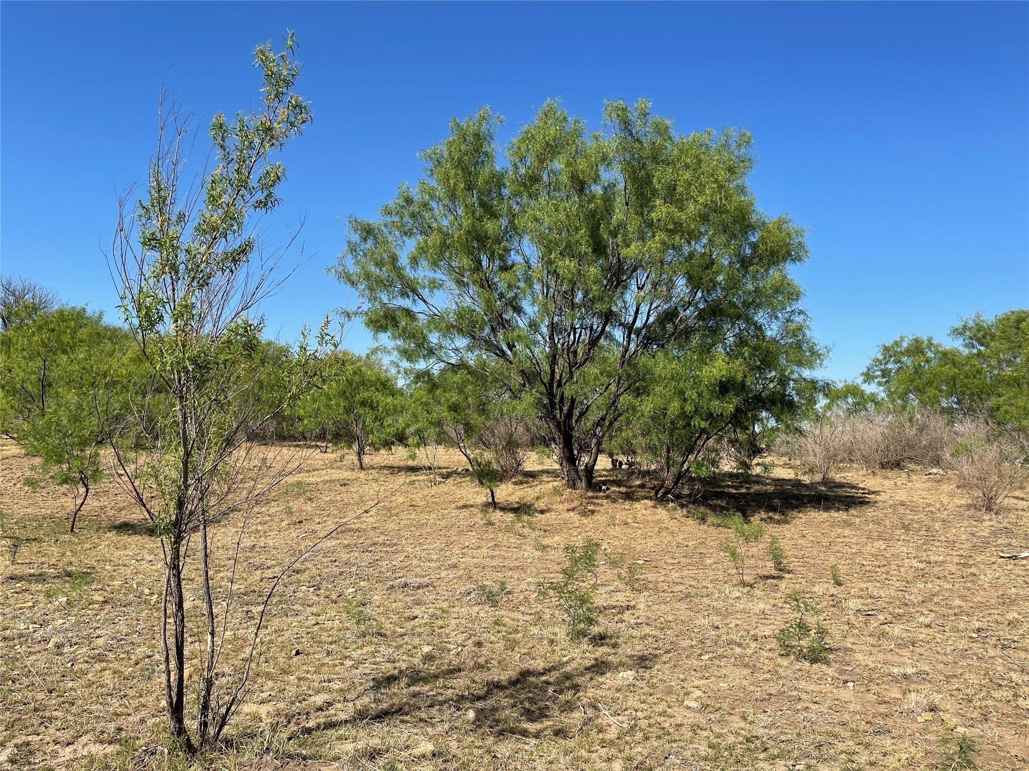 1047 County Road 346 218 , Gouldbusk, TX, 76845 | 20312427 | Realty Texas LLC