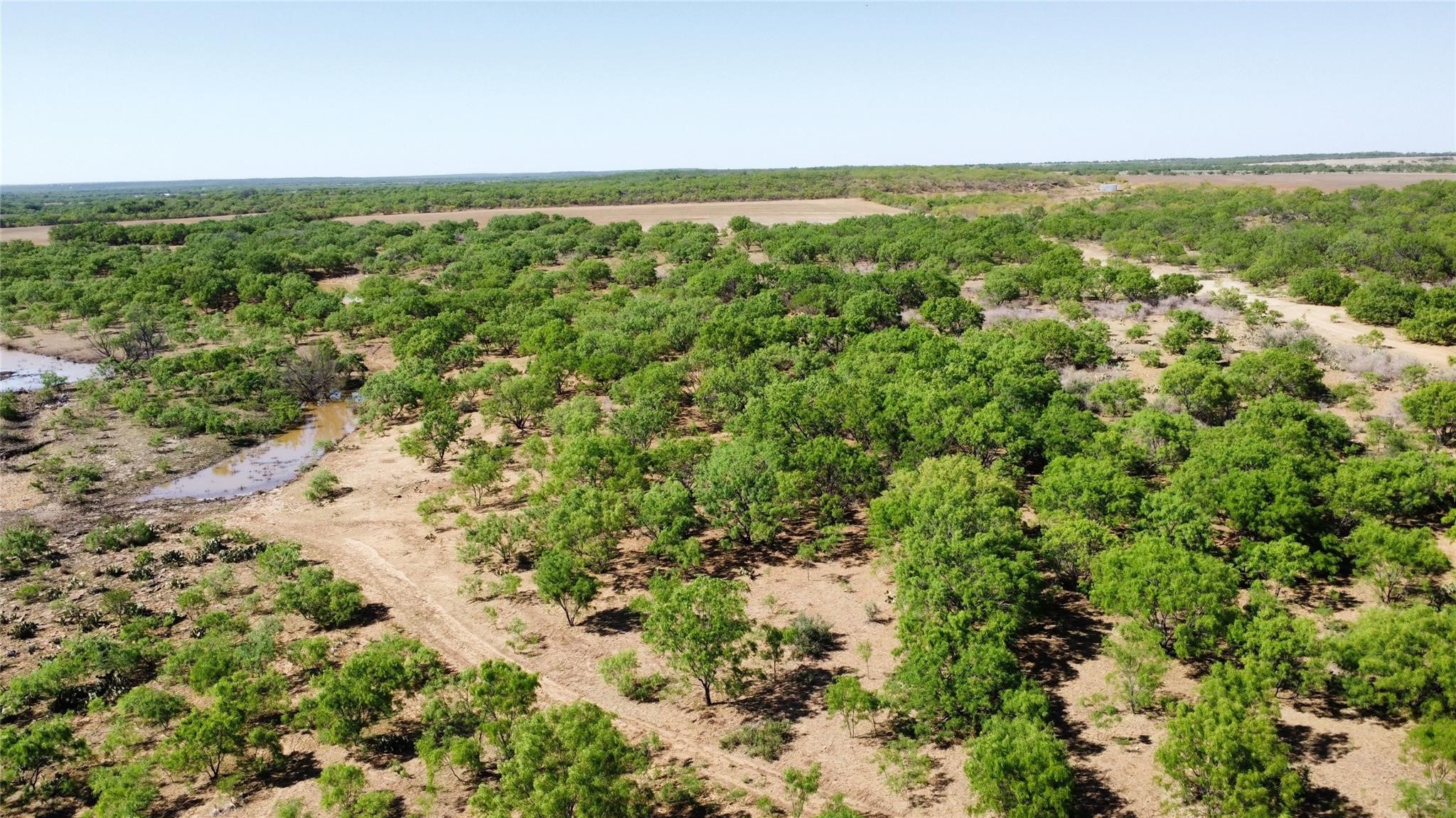1047 County Road 346 218 , Gouldbusk, TX, 76845 | 20312427 | Realty Texas LLC