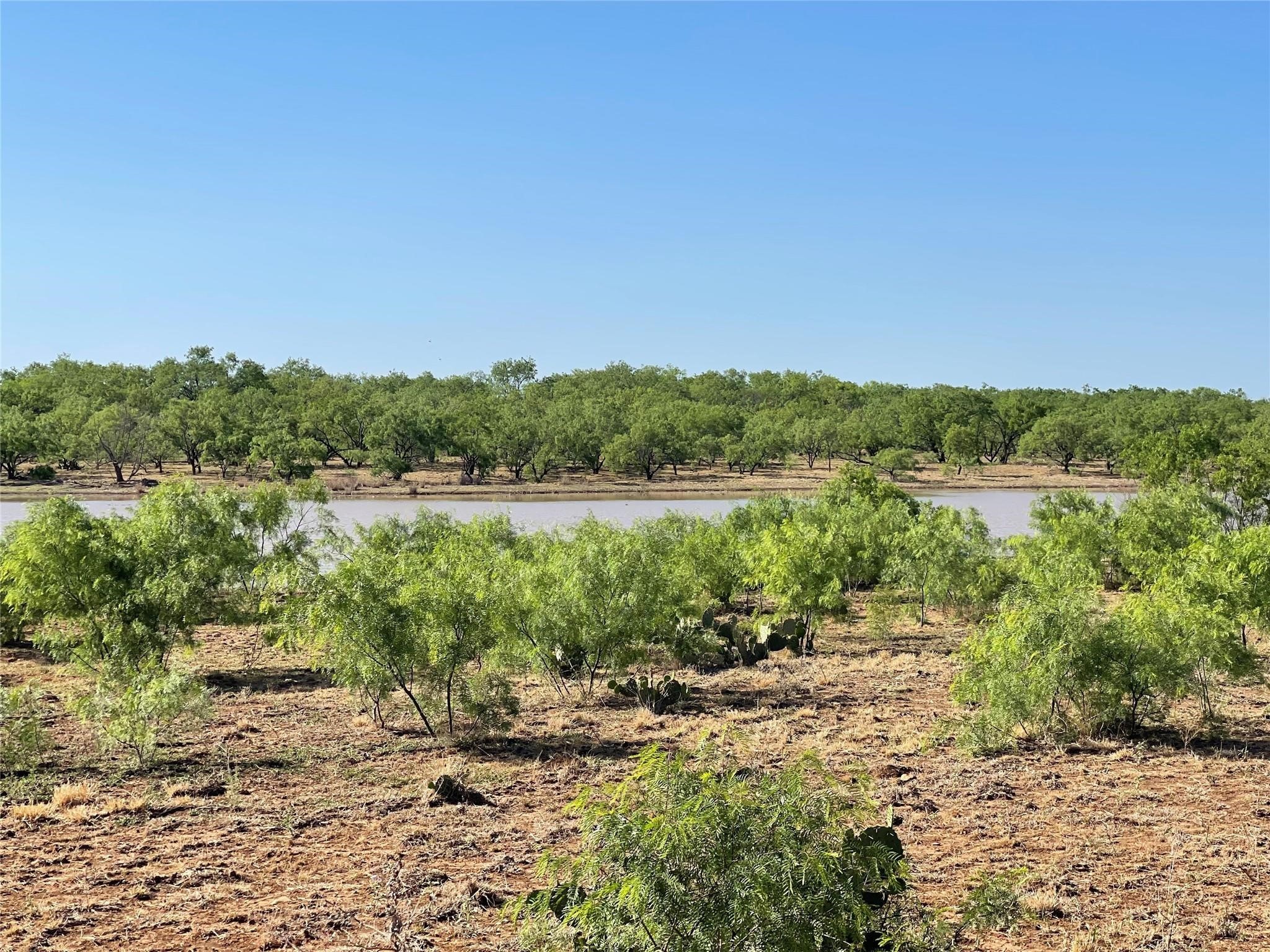 1047 County Road 346 218 , Gouldbusk, TX, 76845 | 20312427 | Realty Texas LLC