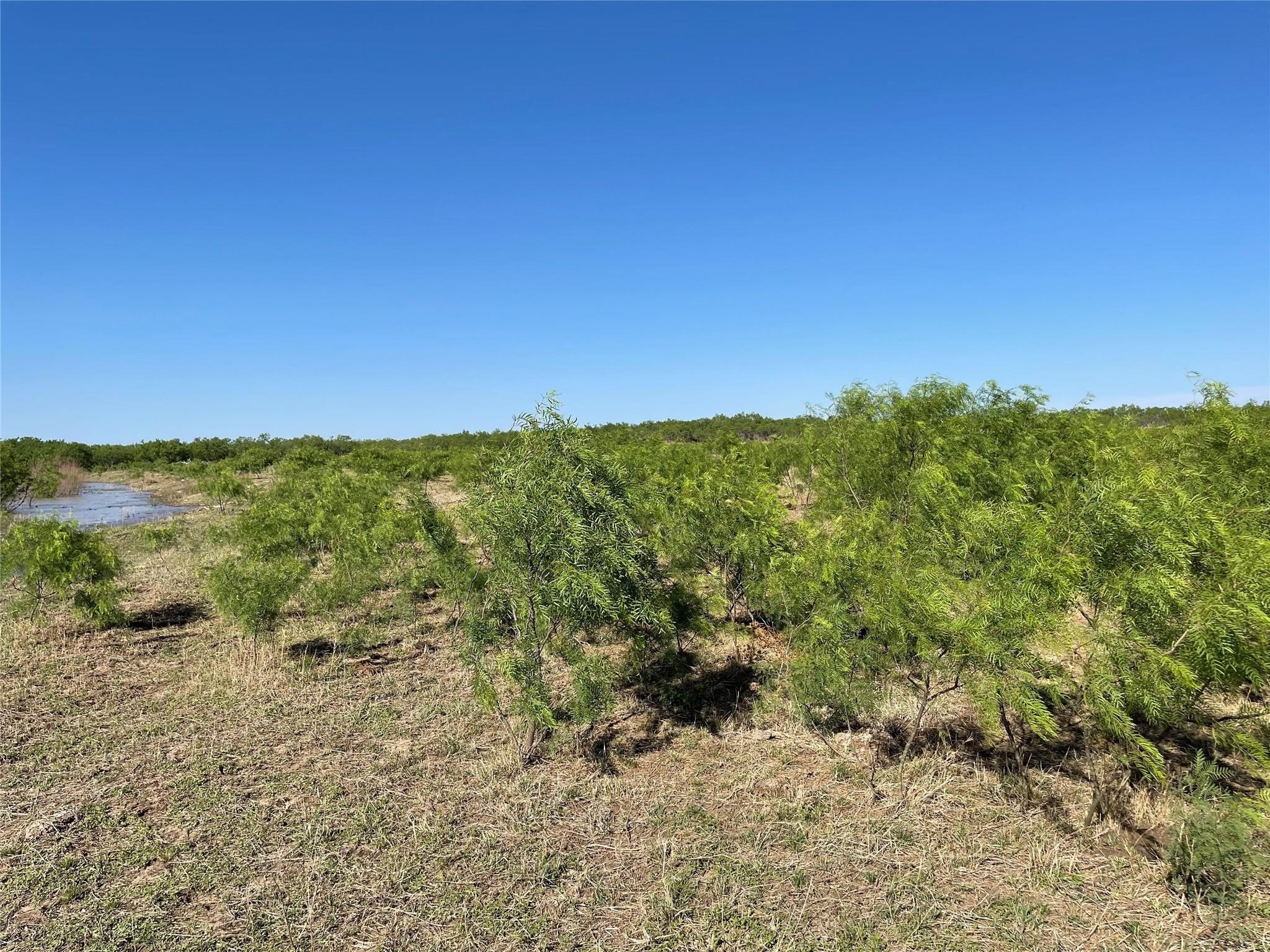 1047 County Road 346 218 , Gouldbusk, TX, 76845 | 20312427 | Realty Texas LLC