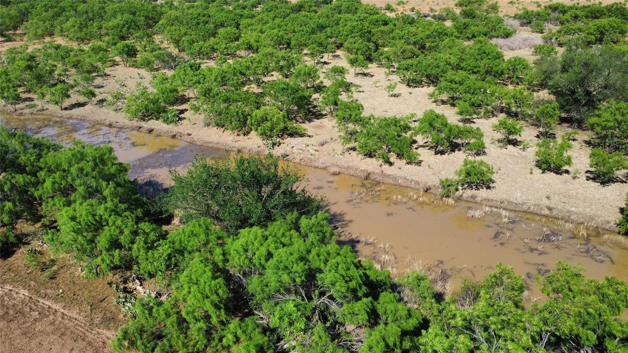 1047 County Road 346 218 , Gouldbusk, TX, 76845 | 20312427 | Realty Texas LLC