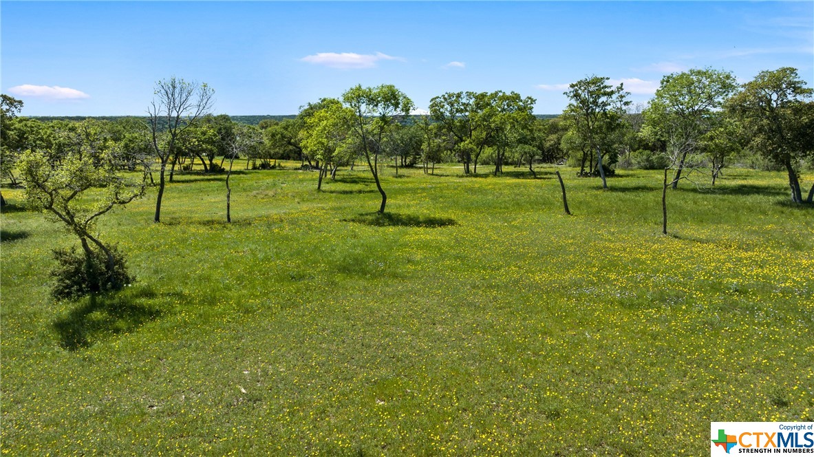 Lot 3, Block 2 Lakeview Estates Dr. , Belton, TX, 76513 | 502970 | Realty Texas LLC