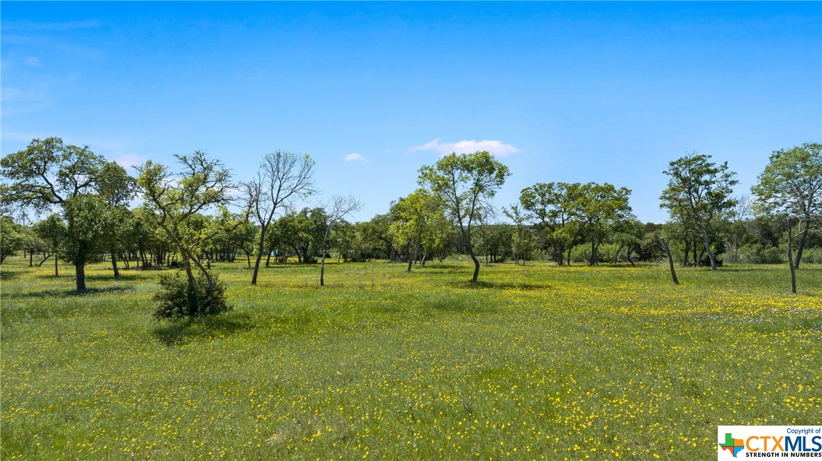 Lot 3, Block 2 Lakeview Estates Dr. , Belton, TX, 76513 | 502970 | Realty Texas LLC