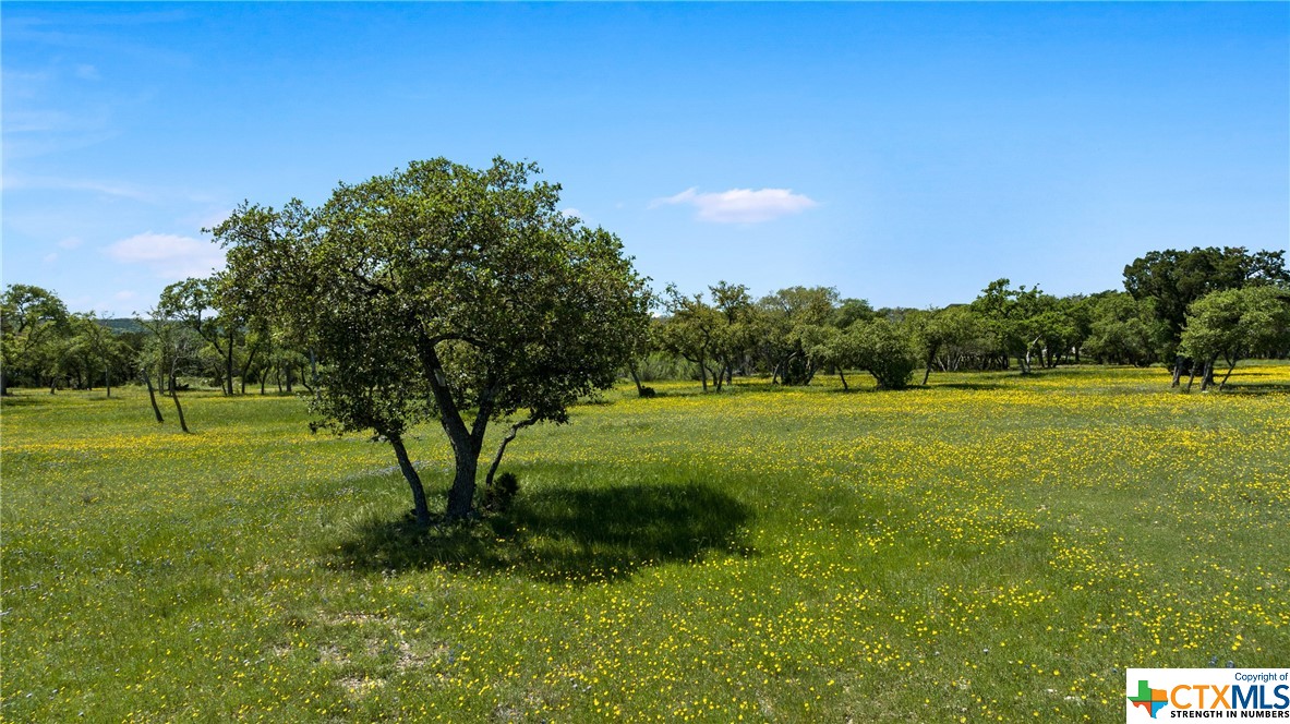 Lot 3, Block 2 Lakeview Estates Dr. , Belton, TX, 76513 | 502970 | Realty Texas LLC