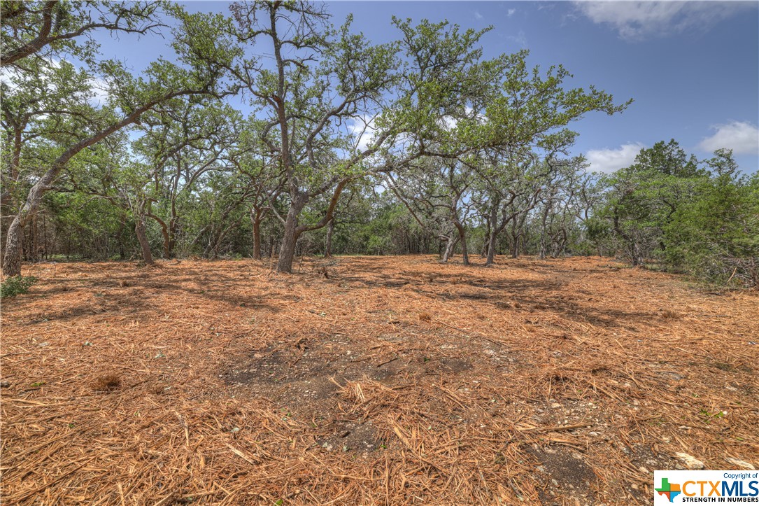 1158 Madrone Road , Fischer, TX, 78623 | 505160 | Realty Texas LLC