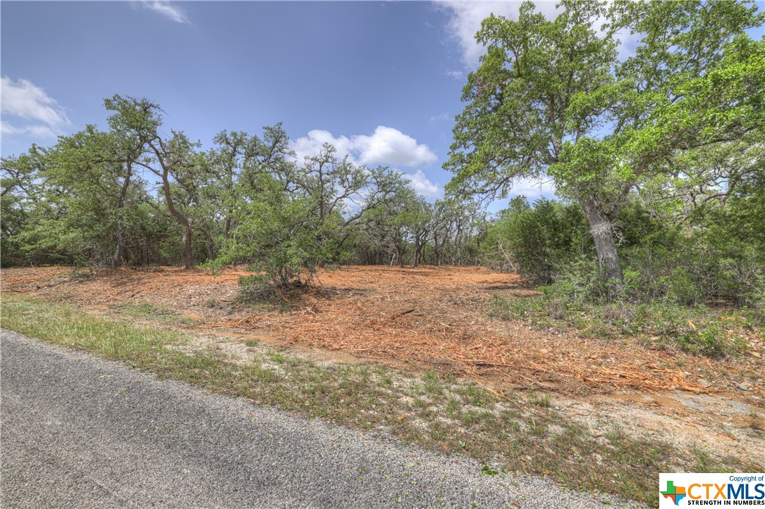 1158 Madrone Road , Fischer, TX, 78623 | 505160 | Realty Texas LLC
