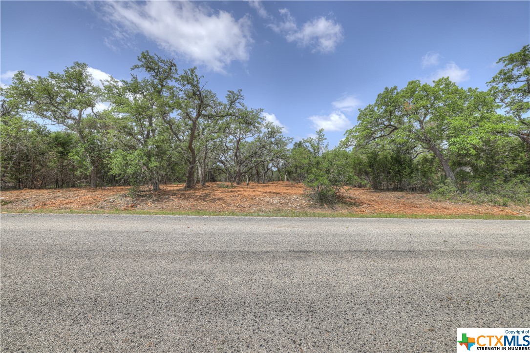 1158 Madrone Road , Fischer, TX, 78623 | 505160 | Realty Texas LLC