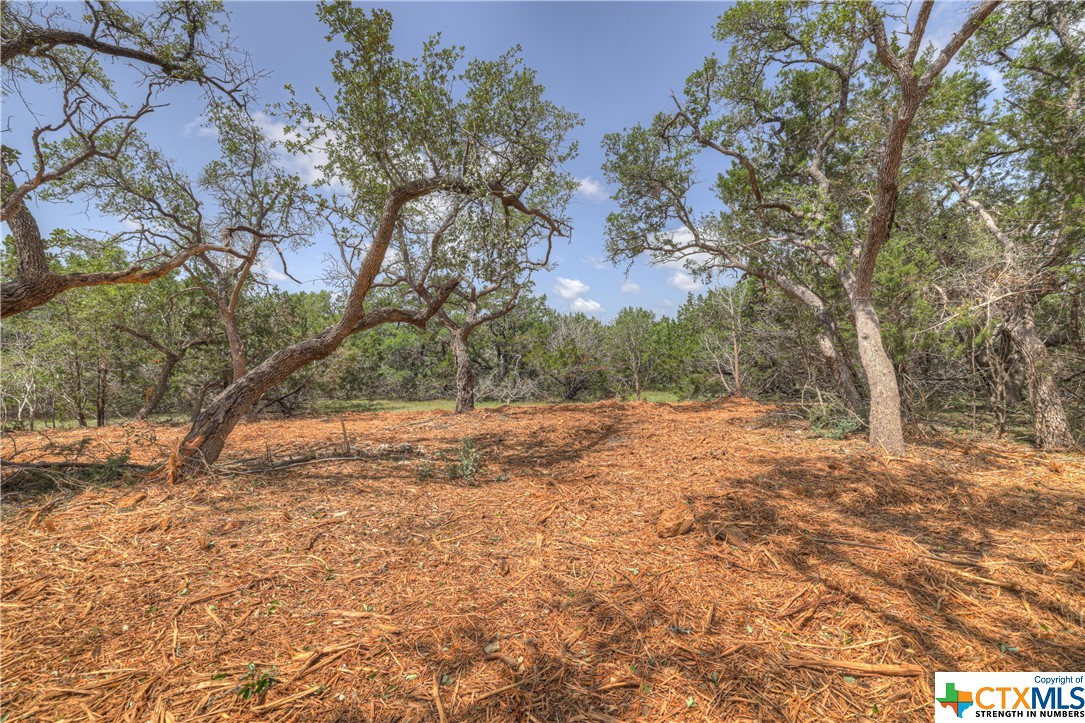 1158 Madrone Road , Fischer, TX, 78623 | 505160 | Realty Texas LLC