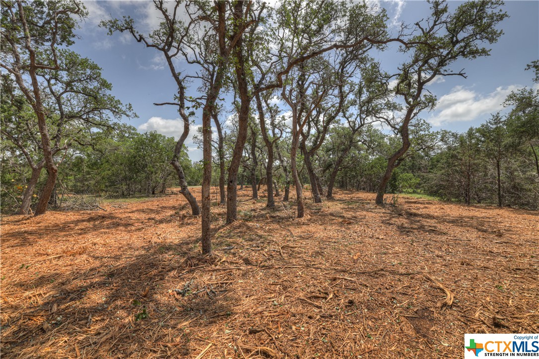 1158 Madrone Road , Fischer, TX, 78623 | 505160 | Realty Texas LLC