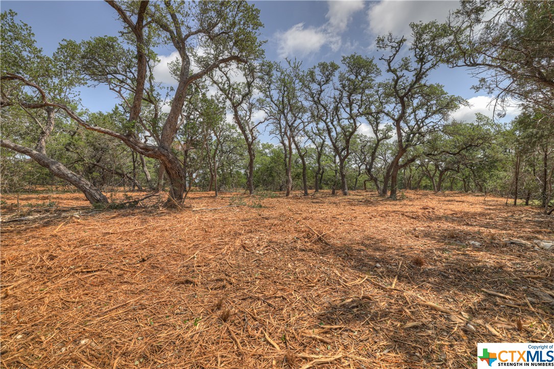 1158 Madrone Road , Fischer, TX, 78623 | 505160 | Realty Texas LLC