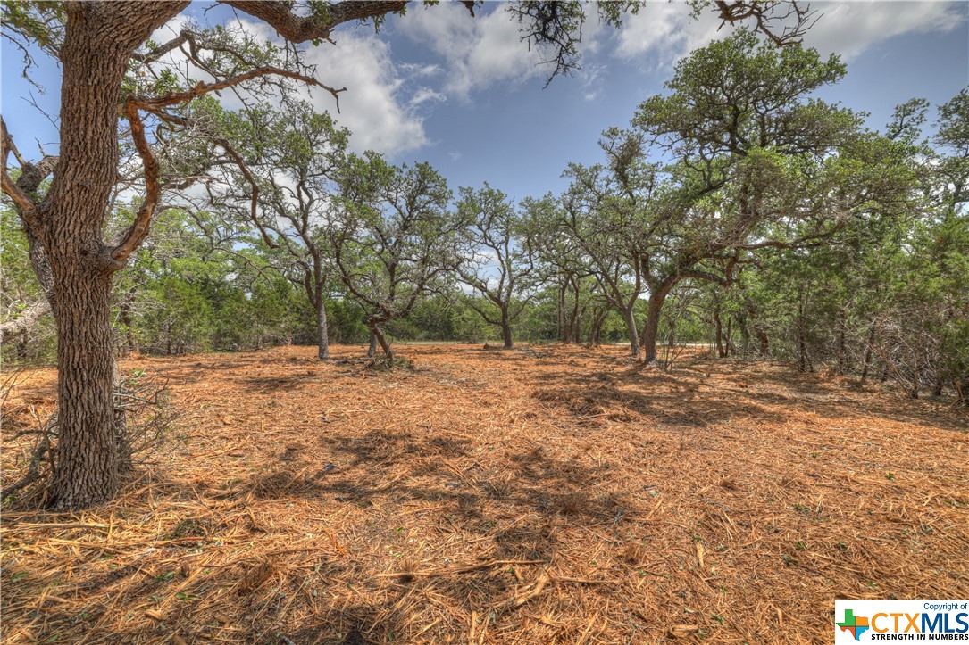 1158 Madrone Road , Fischer, TX, 78623 | 505160 | Realty Texas LLC