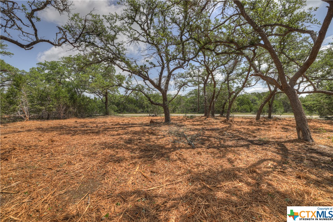 1158 Madrone Road , Fischer, TX, 78623 | 505160 | Realty Texas LLC