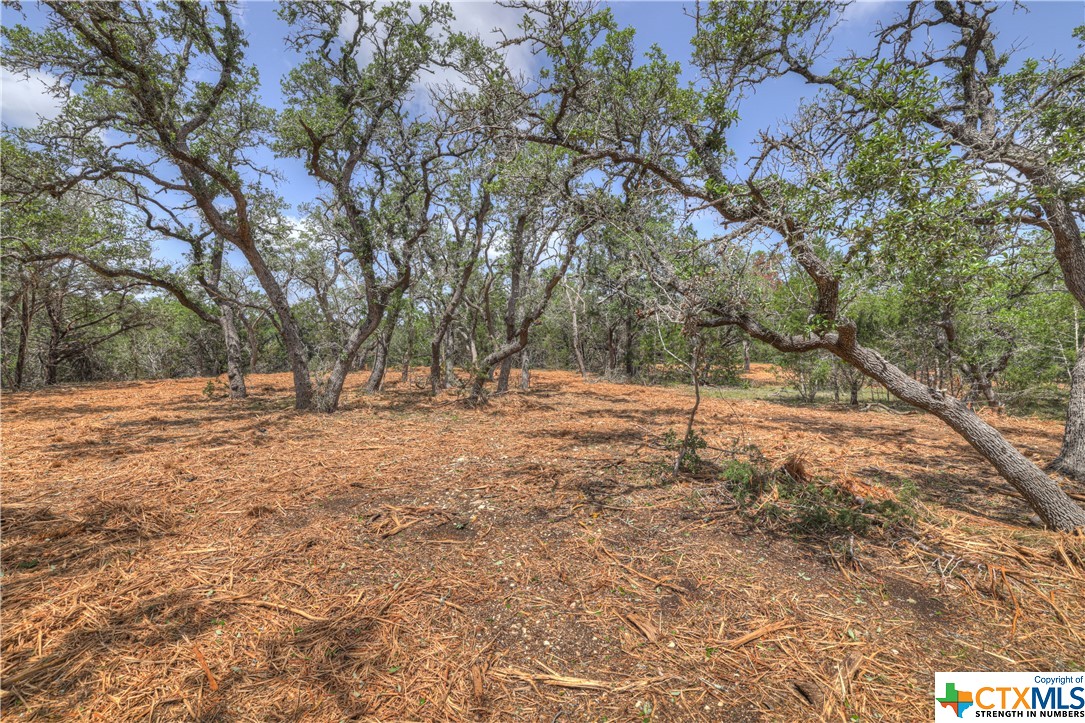 1158 Madrone Road , Fischer, TX, 78623 | 505160 | Realty Texas LLC