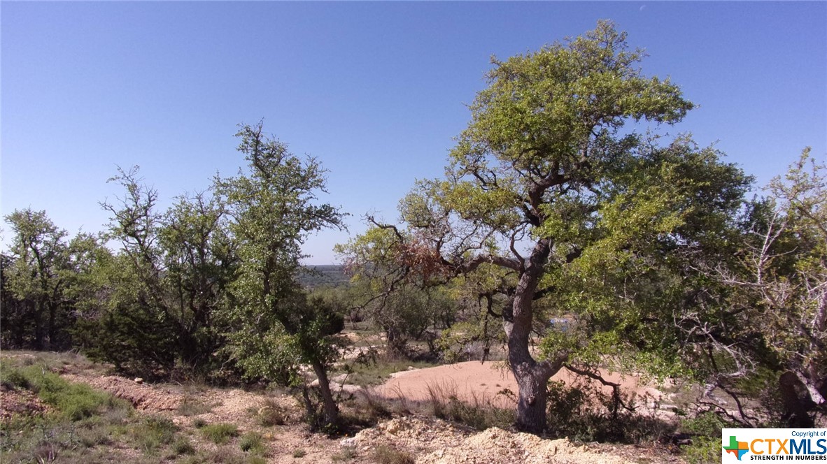 Lot 12/13 Byrd Ranch Road, Johnson City, TX, 78636 | 505097 | Realty Texas LLC