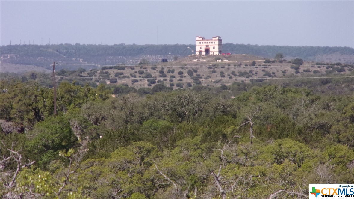 Lot 12/13 Byrd Ranch Road, Johnson City, TX, 78636 | 505097 | Realty Texas LLC