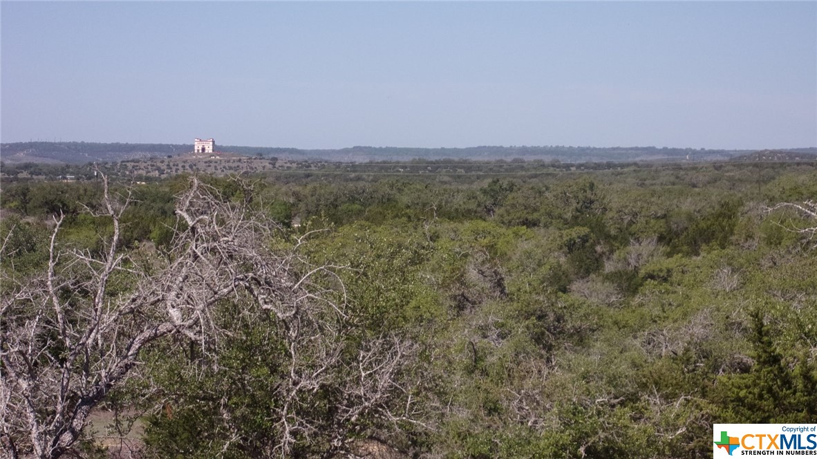 Lot 12/13 Byrd Ranch Road, Johnson City, TX, 78636 | 505097 | Realty Texas LLC