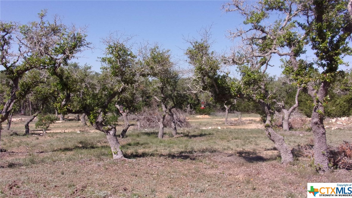 Lot 12/13 Byrd Ranch Road, Johnson City, TX, 78636 | 505097 | Realty Texas LLC