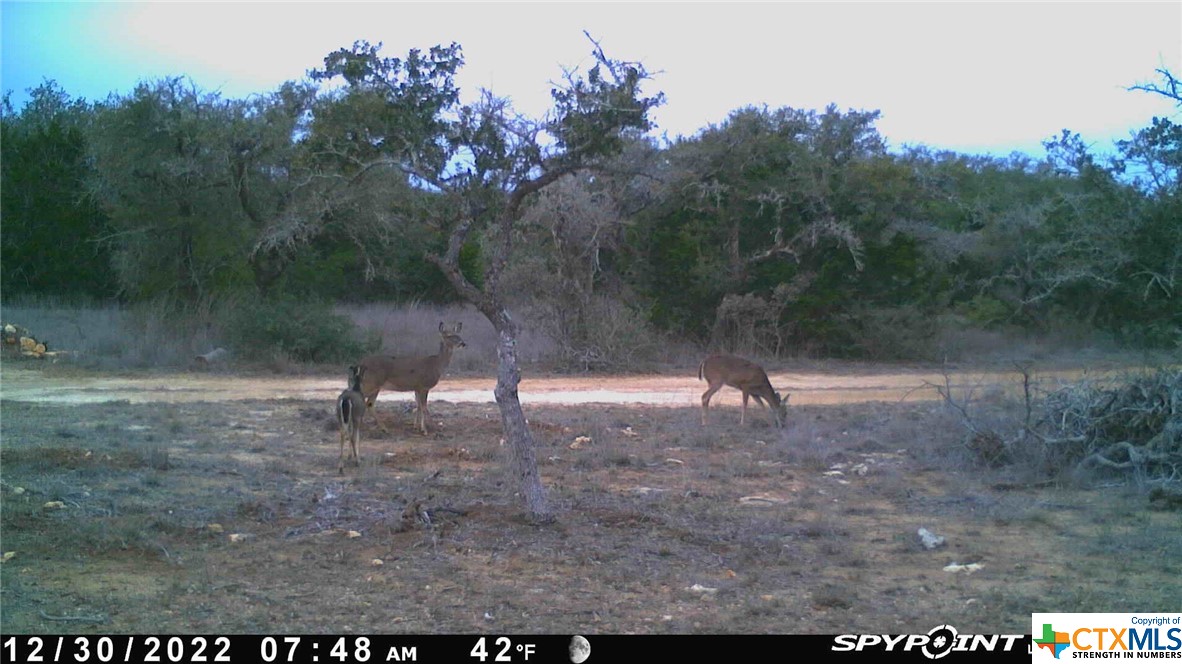 Lot 12/13 Byrd Ranch Road, Johnson City, TX, 78636 | 505097 | Realty Texas LLC