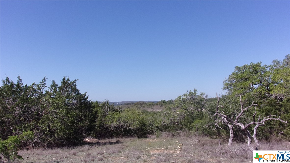 Lot 12/13 Byrd Ranch Road, Johnson City, TX, 78636 | 505097 | Realty Texas LLC