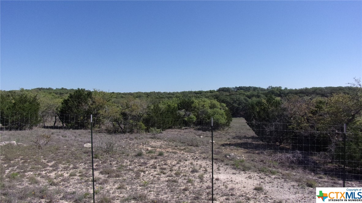Lot 12/13 Byrd Ranch Road, Johnson City, TX, 78636 | 505097 | Realty Texas LLC