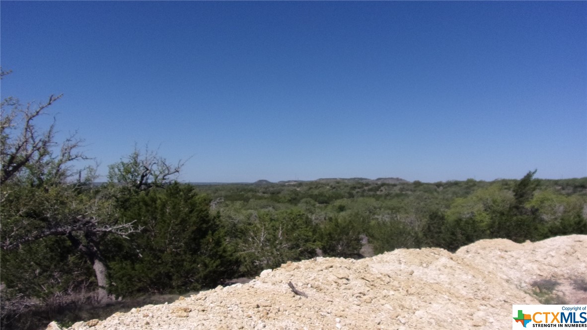 Lot 12/13 Byrd Ranch Road, Johnson City, TX, 78636 | 505097 | Realty Texas LLC