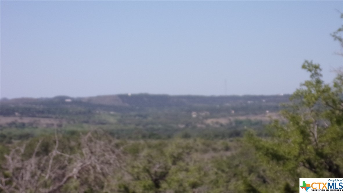 Lot 12/13 Byrd Ranch Road, Johnson City, TX, 78636 | 505097 | Realty Texas LLC