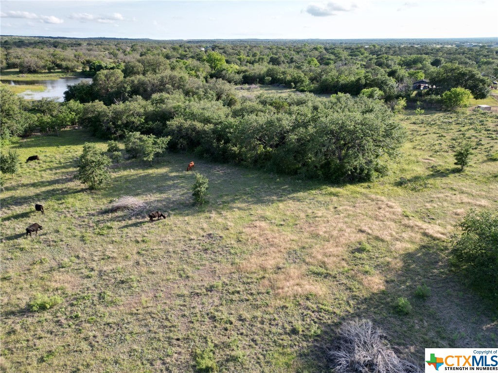 12.74 Acres County Road 4006 , Lampasas, TX, 76550 | 505239 | Realty Texas LLC