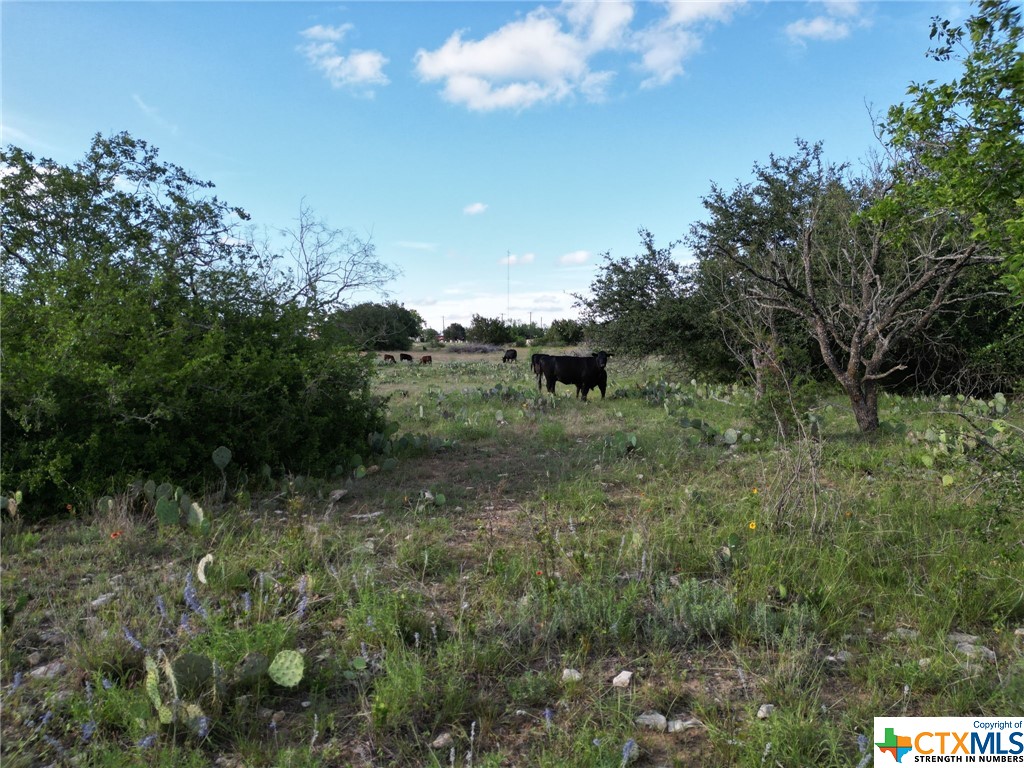 12.74 Acres County Road 4006 , Lampasas, TX, 76550 | 505239 | Realty Texas LLC